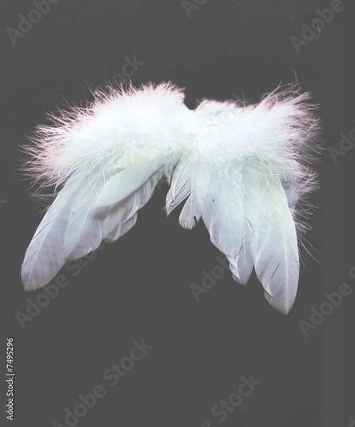 Fototapeta flügel