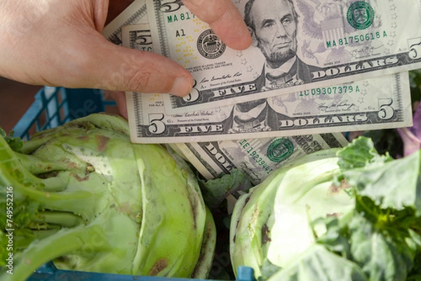 Obraz Hand holding dollars next to green cabbage....