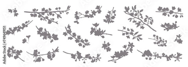 Fototapeta Big spring set of flowering branches