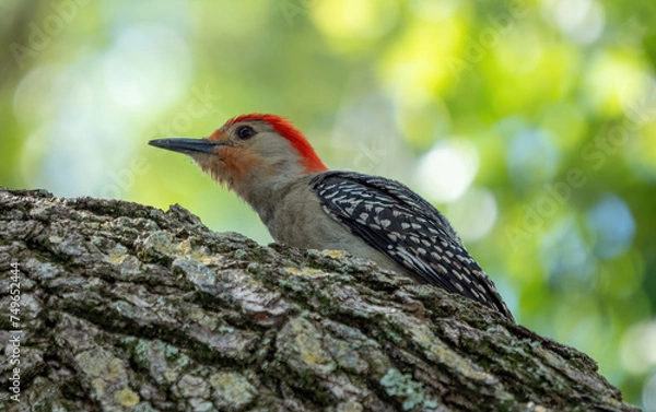 Obraz OLYMPUS DIGITAL CAMERA