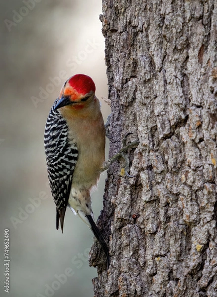 Obraz OLYMPUS DIGITAL CAMERA