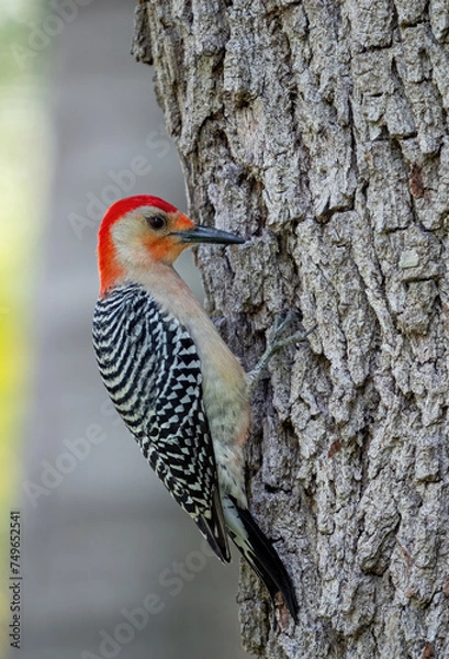 Obraz OLYMPUS DIGITAL CAMERA