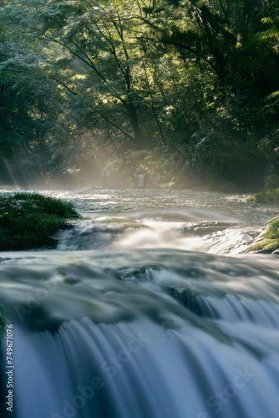 Fototapeta 熊本 菊池渓谷 光芒