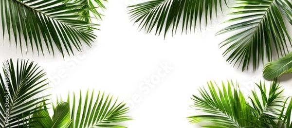 Obraz A collection of isolated palm leaves against a white backdrop, suitable for tropical-themed designs and summer aesthetics. The leaves are vibrant green and feature intricate patterns, with a clipping