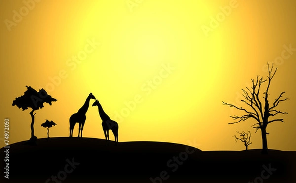 Fototapeta Afrika Giraffen