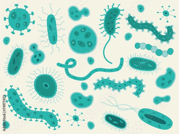 Fototapeta Hand Drawn Bacteria / Germs