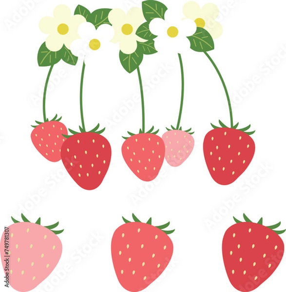 Obraz 苺のベクターイラスト