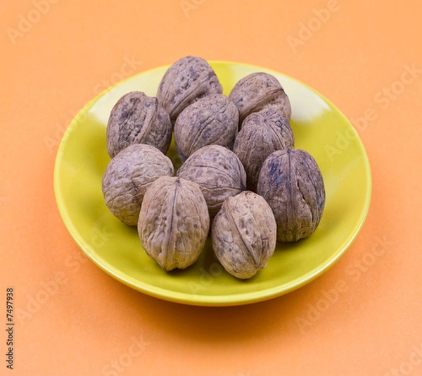 Obraz walnuts