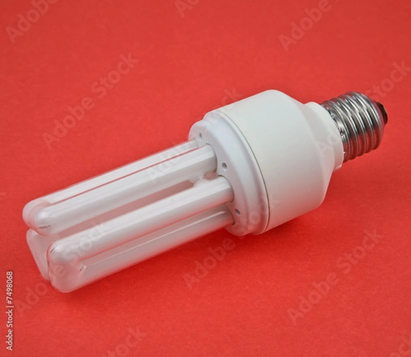 Obraz bulb