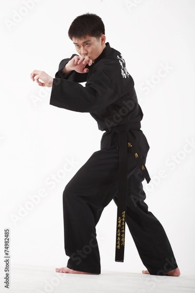 Obraz 합기도를 하고 있는 성인 남성