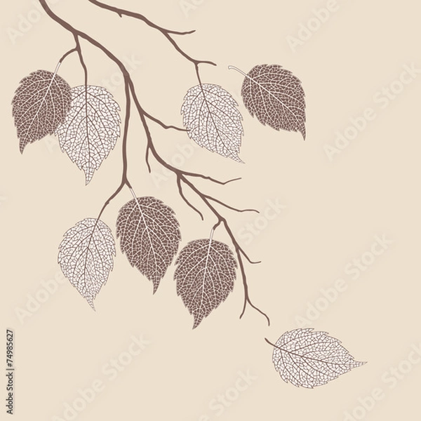 Fototapeta Autumn leaves on a tree