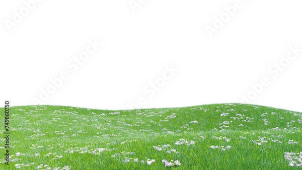 Fototapeta Green lawn with purple flowers isolated on transparent background, 3D render