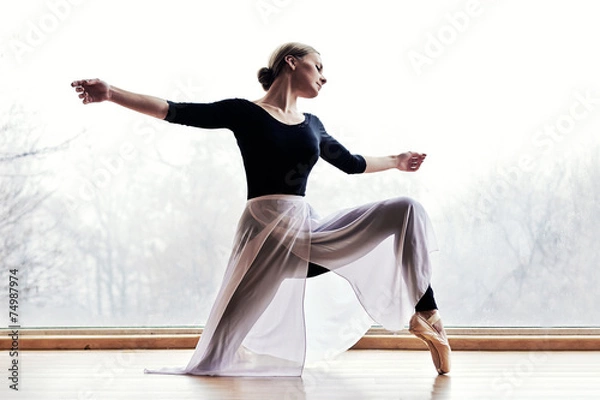 Fototapeta Ballet Dancer