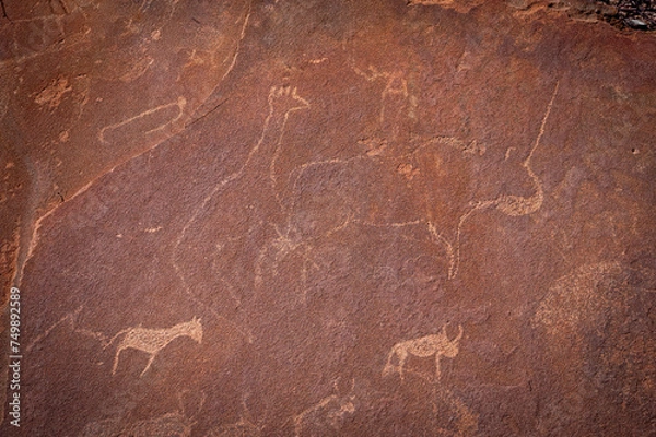 Fototapeta Rock engravings at Twyfelfontein