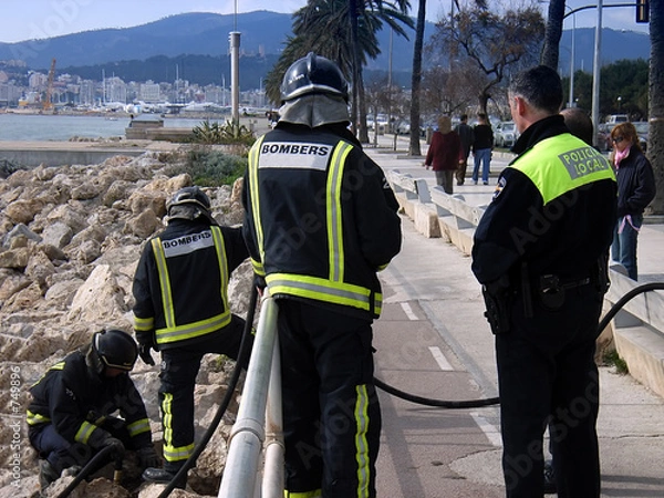 Fototapeta firemen in action