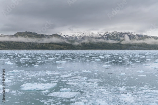 Fototapeta Ice and growlers floating in College Fjord with mist in the snow capped mountains behind, Alaska, USA
