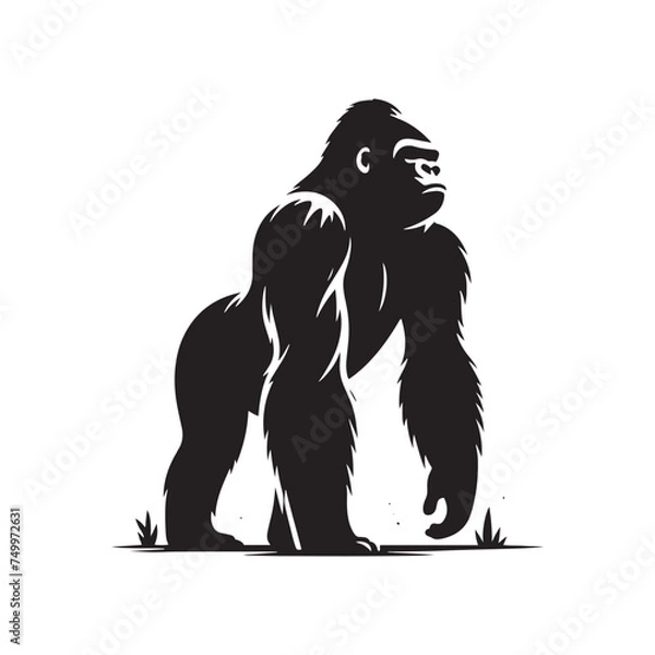 Obraz King of the Jungle: Vector Gorilla Silhouette - Portraying the Majesty and Strength of the Mighty Gorilla in Bold Form. Gorilla Vector, gorilla Illustration.