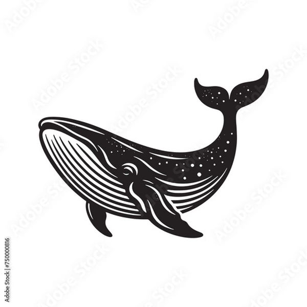 Obraz Ocean Majesty: Vector Whale Silhouette - Capturing the Grandeur and Grace of Earth's Largest Marine Mammals. whale illustration, whale vector.