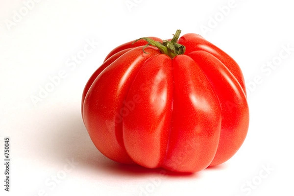 Obraz tomate coeur de boeuf