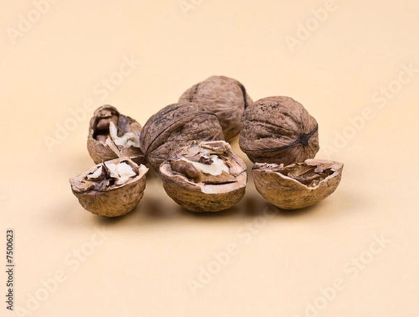 Obraz walnuts
