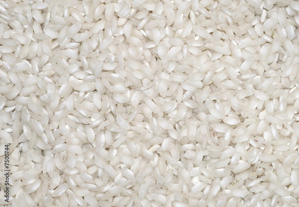 Obraz Chicchi di riso