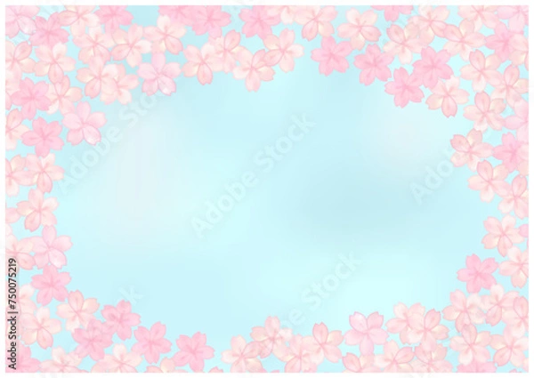 Fototapeta 桜が美しい春グラデフレーム背景43青色