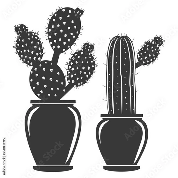 Fototapeta Silhouette cactus plant in the vase black color only