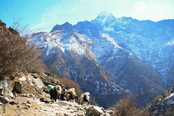 Fototapeta Beautiful way to Everest Base Camp