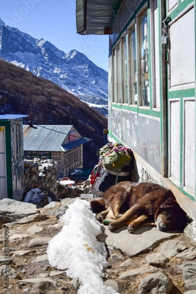 Fototapeta Beautiful way to Everest Base Camp