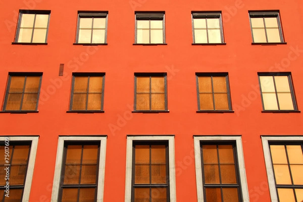 Fototapeta rose on window