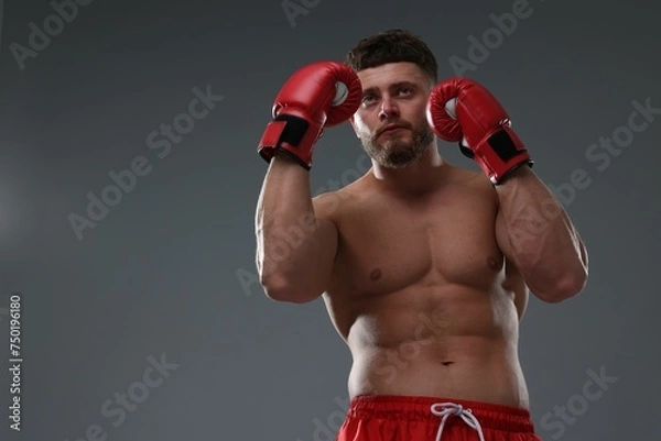 Fototapeta Man in boxing gloves on grey background, low angle view. Space for text