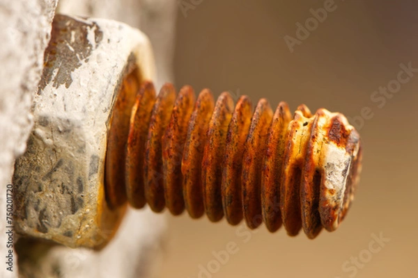 Obraz close up of rusty bolt