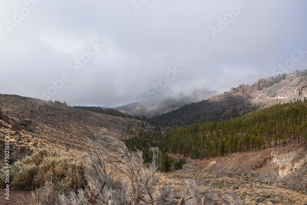 Obraz Landscape with Fog