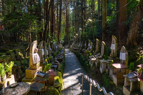 Obraz 幻想的なお寺