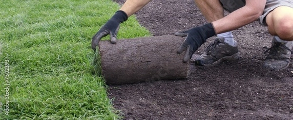Fototapeta układanie darni