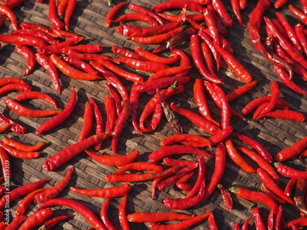 Obraz red hot chili peppers