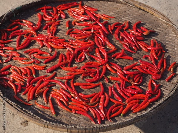 Obraz red hot chili peppers in bowl