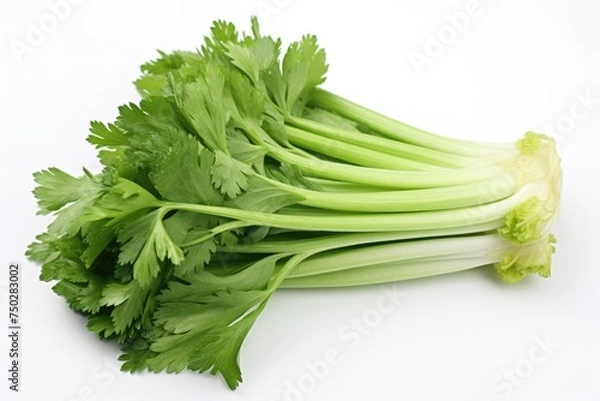 Fototapeta Celery, vegetable , white background.