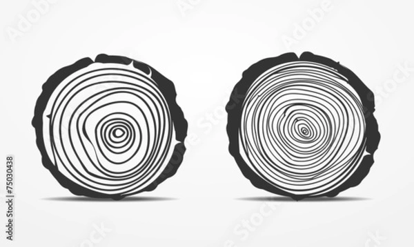 Obraz Saw cut tree trunk