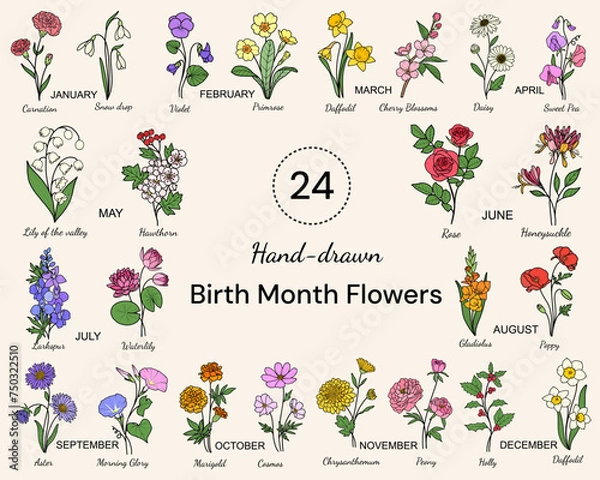 Obraz 24 Birth Month Flowers Vector Line Art in the Minimal Style Drawing, Hand-drawn, For Birthday, Crafting, Cricut, Laser Cut File, Art Print