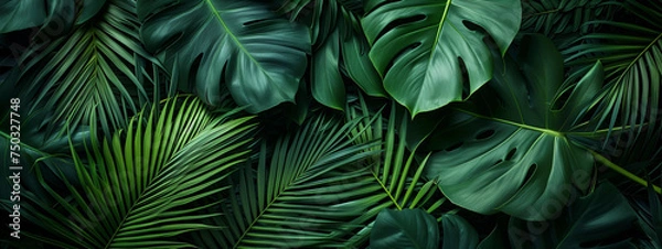 Fototapeta Tropical leaves background. Green leaf banner and floral jungle pattern concept. abstract green leaf texture.