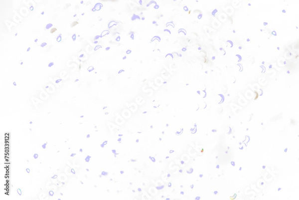 Obraz glitter transparent background