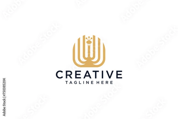 Fototapeta Creative abstract peacock logo design