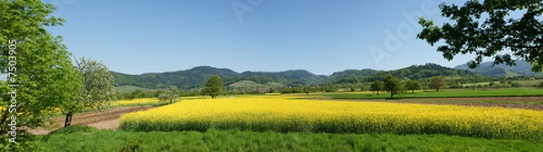 Obraz Ohlsbach - Schwarzwald