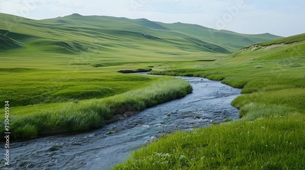 Fototapeta Green meadows stretch as far as the eye can see, with a crystal-clear stream winding its way through the landscape, creating a tranquil natural haven