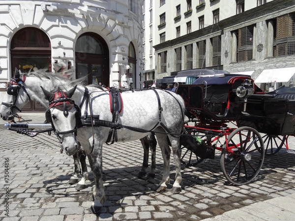 Obraz Calèche à Vienne, Autriche