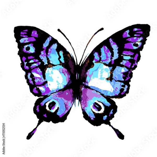 Obraz butterflies design