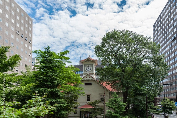 Fototapeta 初夏の札幌