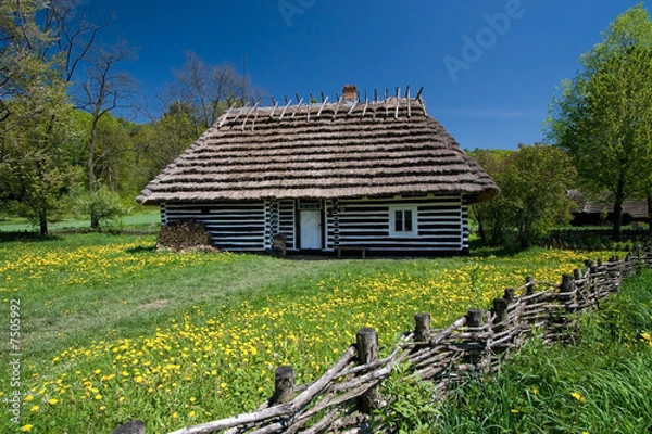 Obraz Old Polish house