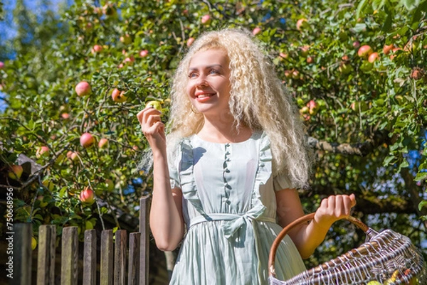 Obraz Beautiful blonde girl picking apples